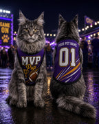 Personalized American Football Dog Jersey, Custom Pet Name Number Shirt, MVP Puppy Game Day Outfit, Sports Fan Pet Gift