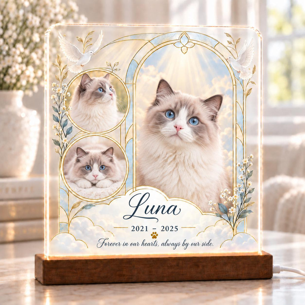 Angel Cat Memorial Light, Custom Tuxedo Cat Photo Acrylic Plaque, Personalized Pet Loss Keepsake, Sympathy Gift for Cat Mom