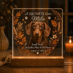 Dog Memorial Night Light - Personalized Pet Photo Acrylic Plaque - image 2