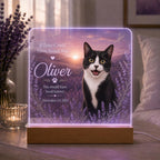 Cat Loss Night Light - Personalized Pet Photo Acrylic Lamp - image 3