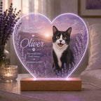 Cat Loss Night Light - Personalized Pet Photo Acrylic Lamp - image 5