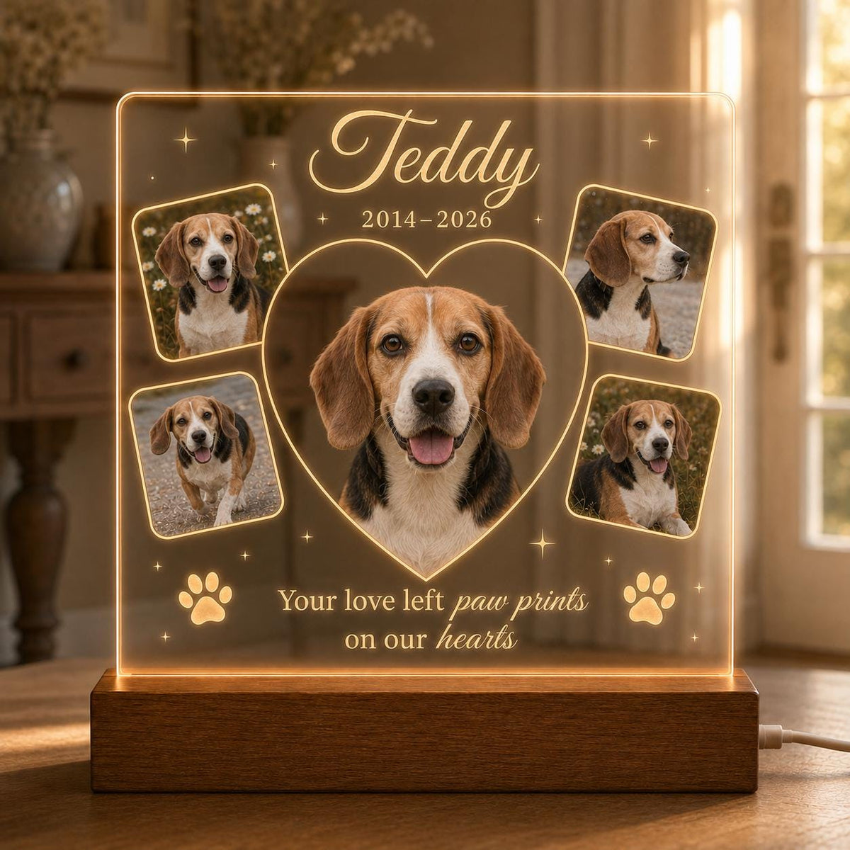 Pet Retriever Memorial Light - Custom Dog Photo Acrylic Plaque - image 3