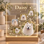 Personalized Pet Memorial Light - Custom Dog Photo Acrylic Plaque - image 2