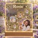 Personalized Pet Memorial Light - Custom Dog Photo Acrylic Plaque