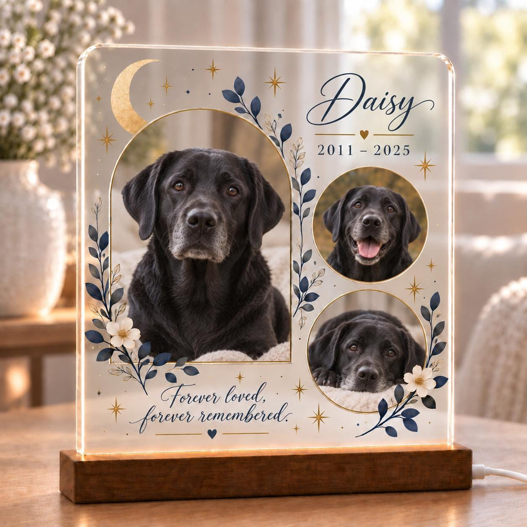 French Bulldog Memorial Light - Custom Pet Photo Acrylic Plaque - image 4