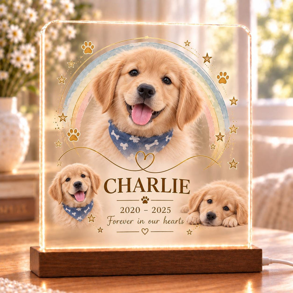 Pet Memorial LED Lamp - Custom Cat Memorial Light - image 2