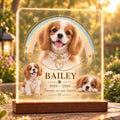 Pet Memorial LED Lamp - Custom Cat Memorial Light