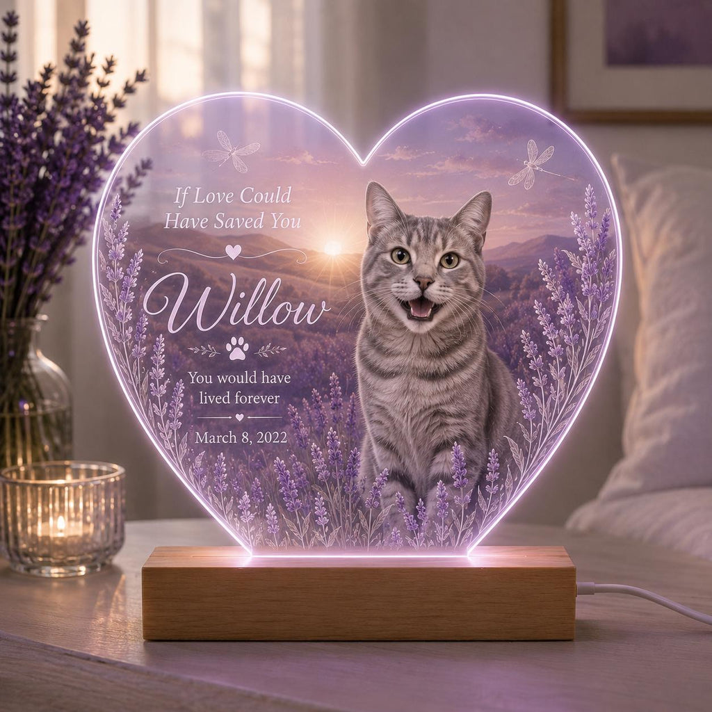 Cat Loss Night Light - Personalized Pet Photo Acrylic Lamp - image 2
