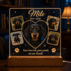 Pet Retriever Memorial Light - Custom Dog Photo Acrylic Plaque - image 4