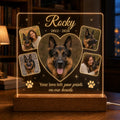 Pet Retriever Memorial Light - Custom Dog Photo Acrylic Plaque