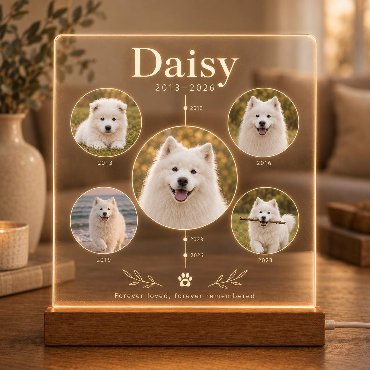 Personalized Pet Memorial Light - Custom Dog Photo Acrylic Plaque - image 4