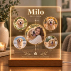 Personalized Pet Memorial Light - Custom Dog Photo Acrylic Plaque - image 3