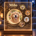 Dog Memorial Night Light - Custom Pet Photo Acrylic Plaque - image 3